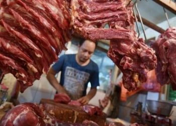 Perdagangan Lebih Terbuka untuk Mitigasi Dampak Pandemi COVID-19