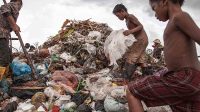 PBB : Pandemi Berpotensi Ciptakan Jutaan Pekerja Anak