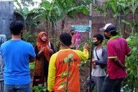 KIM Kota Malang Kunjungi Kebun Organik Bumiayu