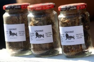 Kotoran Singa dalam Toples