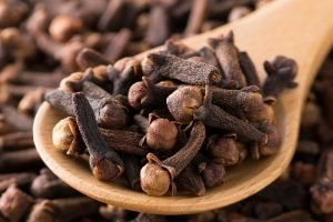 Cengkeh, Si Kecil yang Bermanfaat Besar Bagi Kesehatan