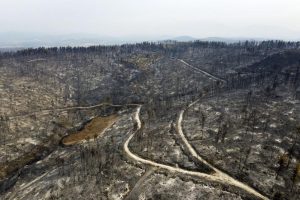 PM Yunani Sebut Kebakaran Hutan di Negaranya Bencana Ekologi Besar
