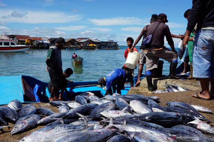 Melalui Digitalisasi Ekosistem Perikanan, Pemerintah Tingkatkan Kesejahteraan Nelayan Tradisional