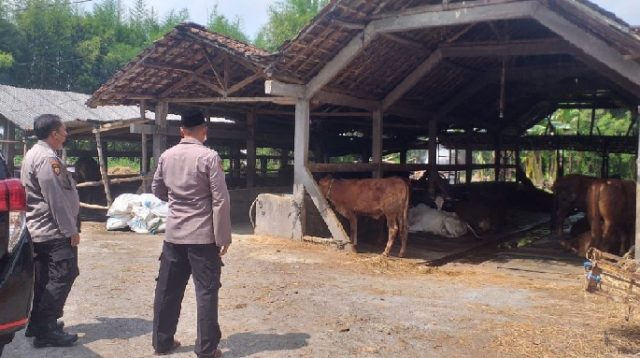 Satgas Pangan Polda Jatim Bantu Penanganan PMK pada Hewan Ternak di Jatim