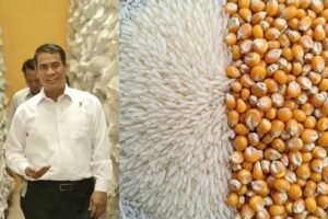 Mentan Amran: 31 Desember 2025, Indonesia Swasembada Beras dan Jagung