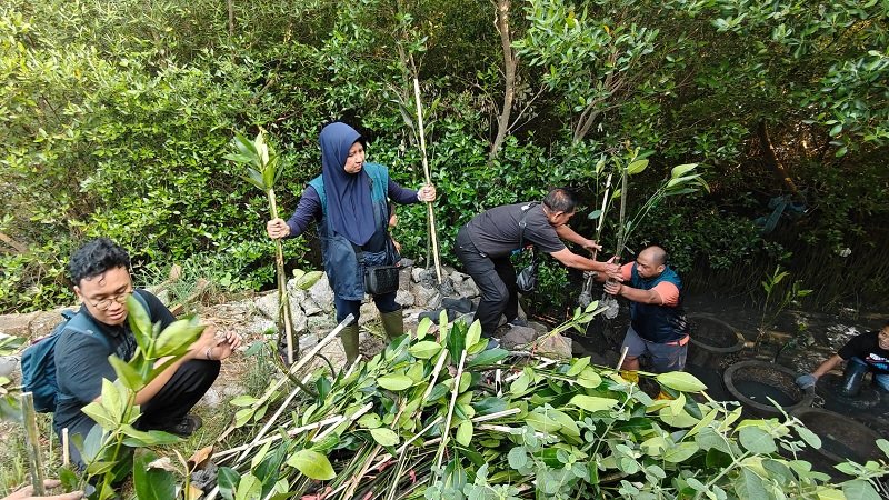 1071-Penanaman mangrove di Sontoh Laut Surabaya Dukung Rehabilitasi Pesisir, PT TPS Tanam 3.000 Bibit Mangrove di Sontoh Laut Surabaya
