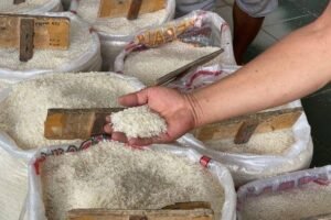 363-Beras Inflasi Nasional Naik ke 3,08 Persen pada Mei 2026, Dipicu Harga Pangan Strategis