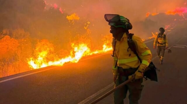 Kebakaran Hebat di Andalusia Spanyol Tewaskan 12 Orang, 23 Masih Hilang