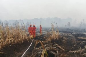 1180-Pemadaman Karhutla Cegah Karhutla Berulang, Gapki Tekankan Zero Burning hingga Kolaborasi Masyarakat