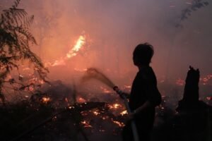 1192-Karhutla di Kalimantan Indonesia Sambut Bantuan Malaysia Atasi Kebakaran Hutan