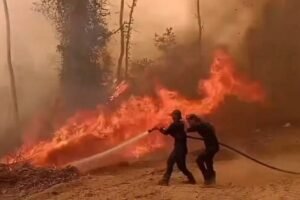 1222-Petugas berupaya memadamkan api Evaluasi Tata Kelola Hutan Mendesak, DPR: Jangan Hanya Reaktif Padamkan Api