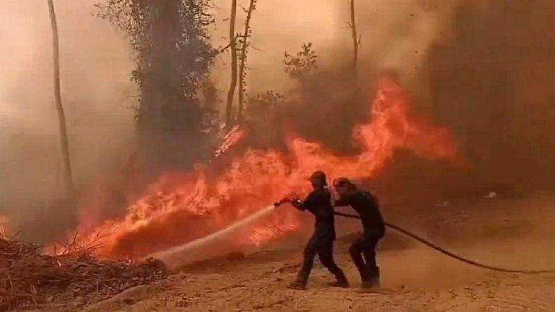 1222-Petugas berupaya memadamkan api Evaluasi Tata Kelola Hutan Mendesak, DPR: Jangan Hanya Reaktif Padamkan Api