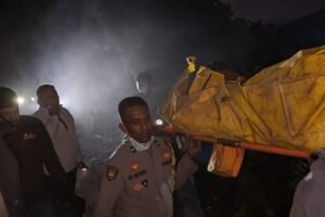 4 Petugas dan Relawan Gugur Terjebak Api saat Padamkan Karhutla Gunung Bromo