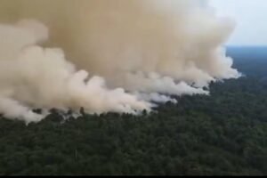 DPR Desak Penetapan KLB Karhutla di Kalteng dan Wilayah Parah Lainnya