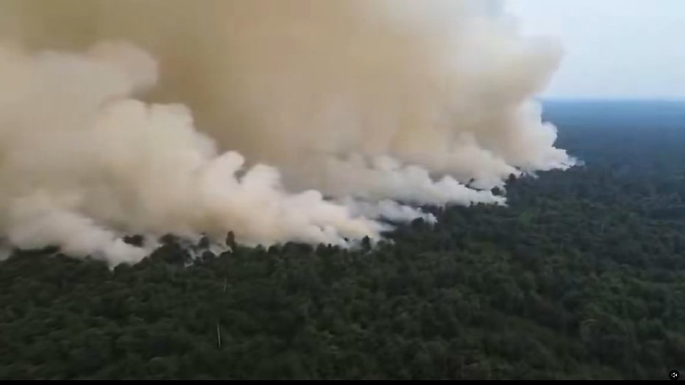 DPR Desak Penetapan KLB Karhutla di Kalteng dan Wilayah Parah Lainnya