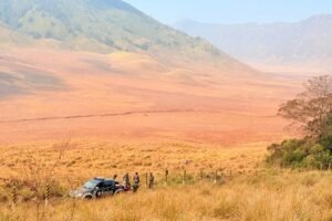 Kebakaran Bromo Belum Padam, TNBTS Batasi Kunjungan ke Penanjakan