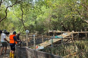 TPS Tanam 15.000 Bibit Mangrove, Perkuat Komitmen Pelestarian Ekosistem Pesisir dan Lingkungan Pelabuhan